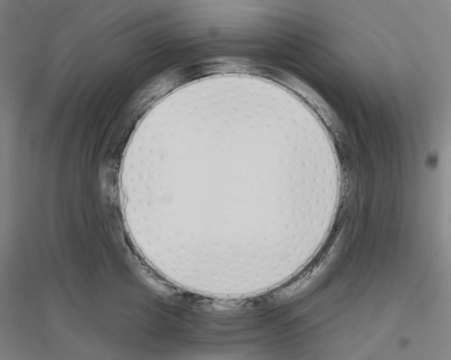 X0000116830857201001291641