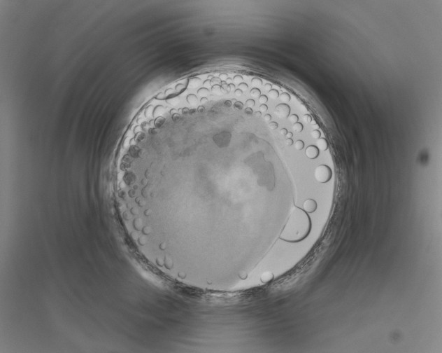 X0000116830858201001291641