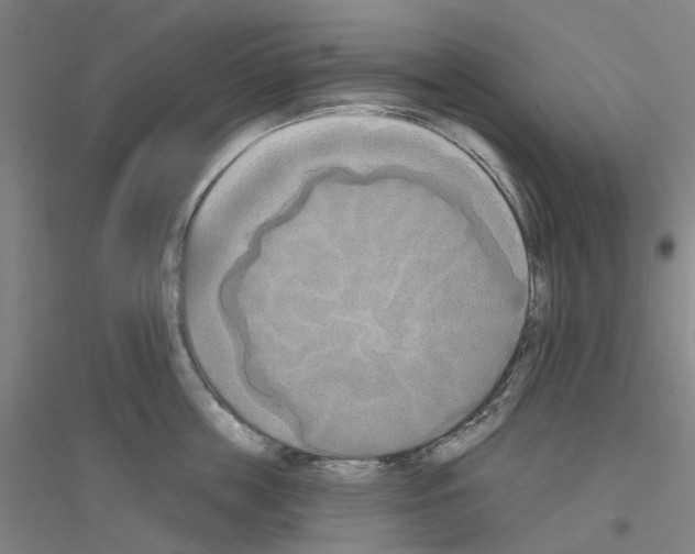 X0000116830859201001291641