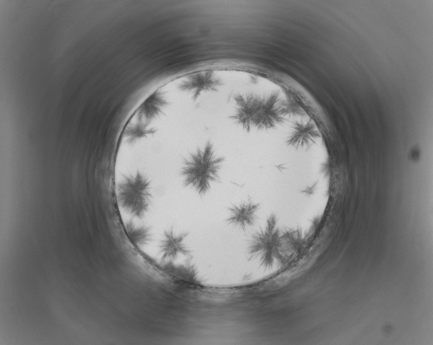 X0000116830860201001291642