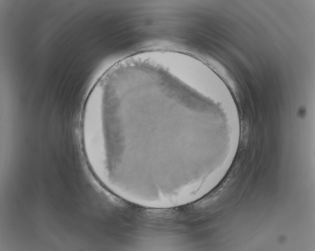 X0000116830863201001291642