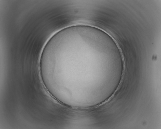 X0000116830864201001291642