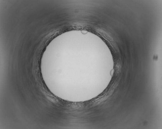 X0000116830865201001291641