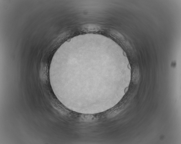 X0000116830866201001291641