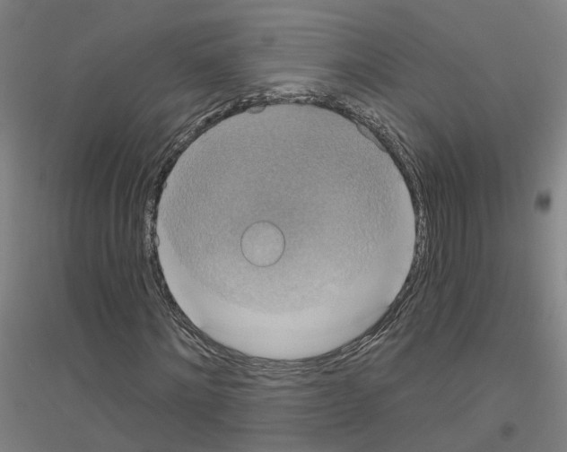 X0000116830868201001291641