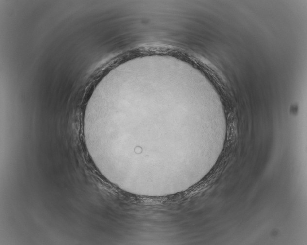 X0000116830870201001291641