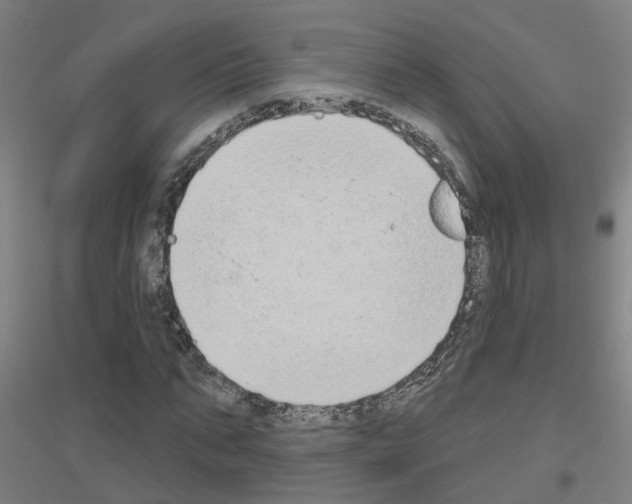 X0000116830871201001291641