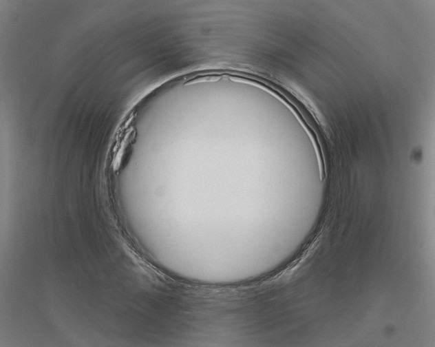 X0000116830876201001291641