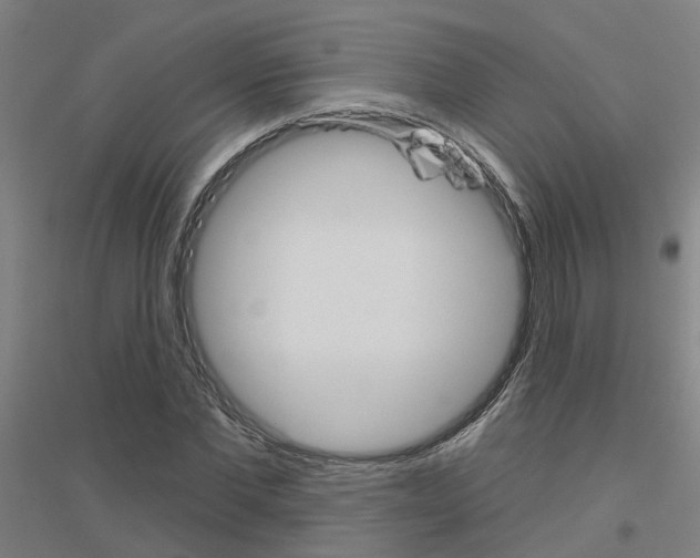 X0000116830877201001291641