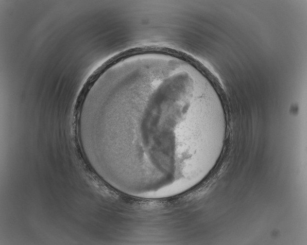 X0000116830879201001291641