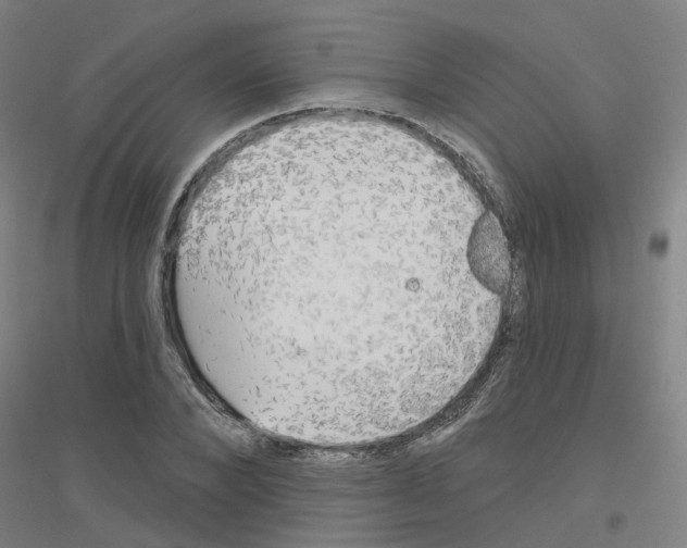 X0000116830880201001291641