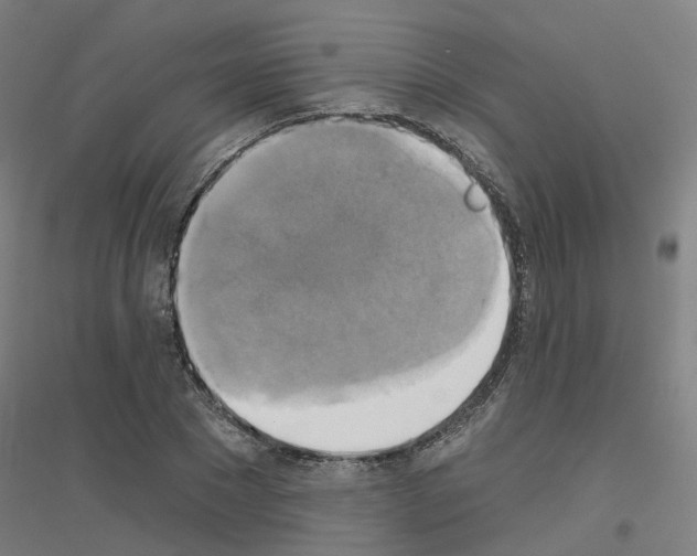 X0000116830881201001291641