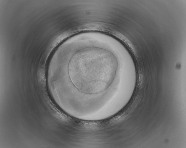 X0000116830882201001291641