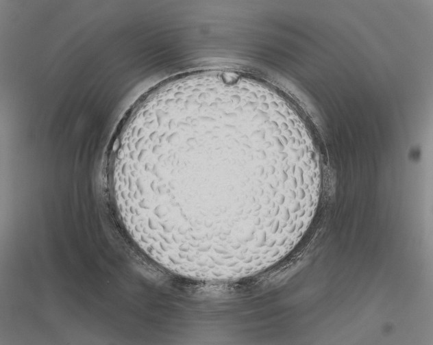 X0000116830883201001291641