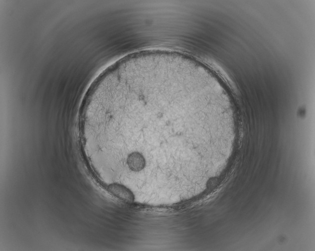 X0000116830884201001291641