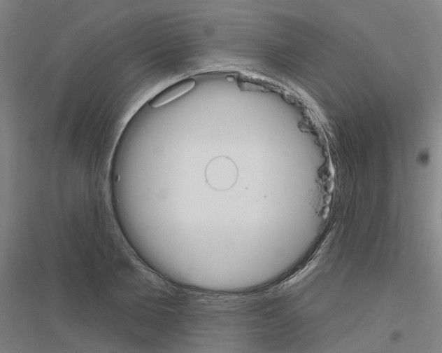 X0000116830885201001291641