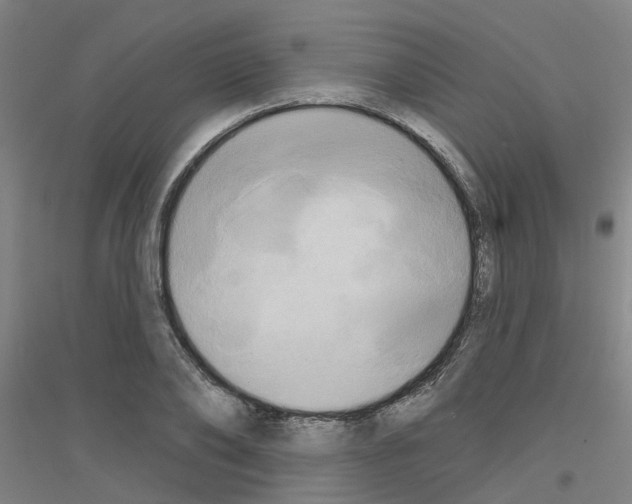 X0000116830886201001291641