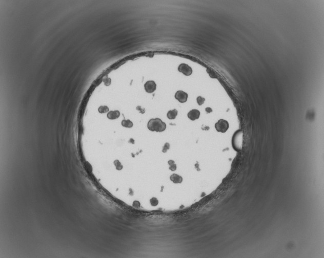 X0000116830888201001291641