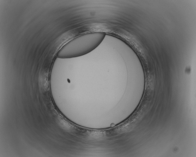 X0000116830889201001291641