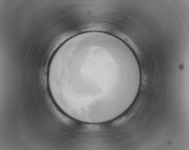 X0000116830890201001291641