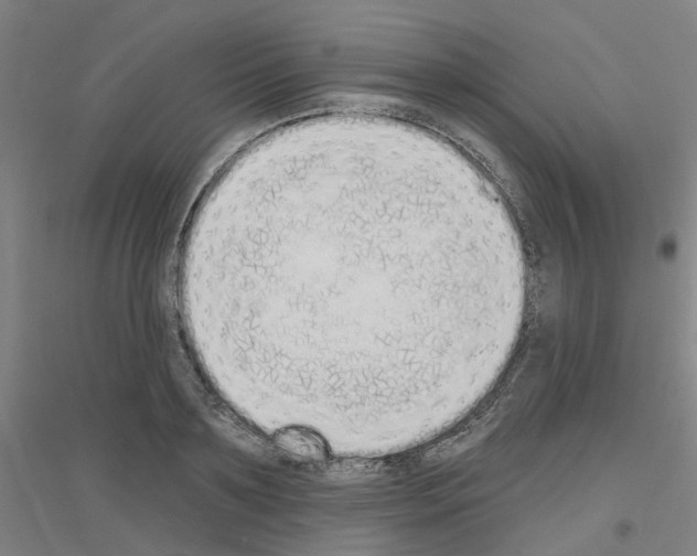 X0000116830891201001291641