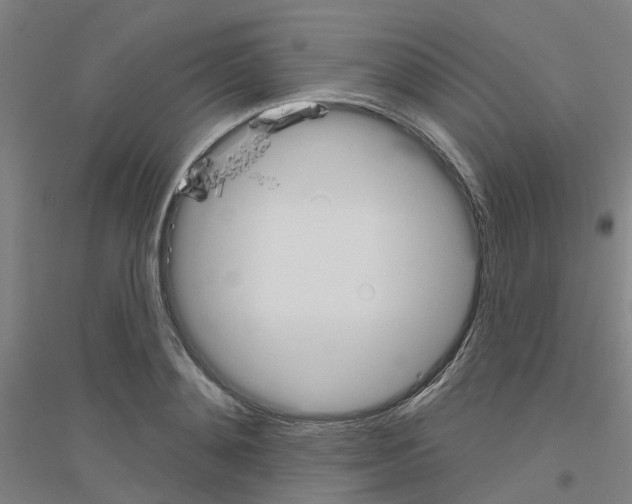 X0000116830892201001291641