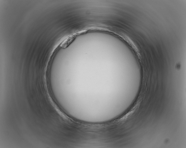 X0000116830893201001291641