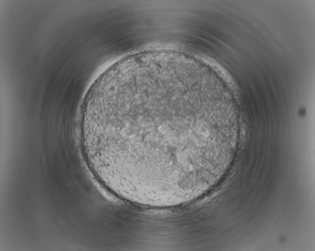 X0000116830894201001291641