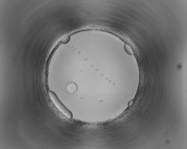 X0000116830896201001291640