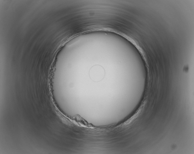 X0000116830897201001291640