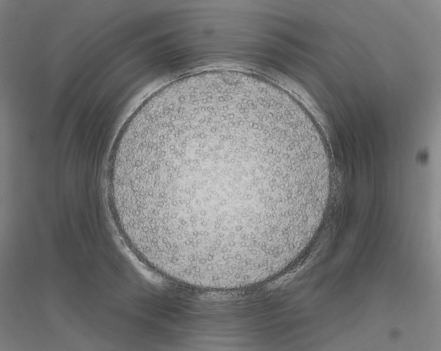 X0000116830898201001291640