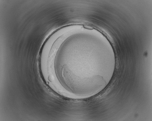 X0000116830899201001291640