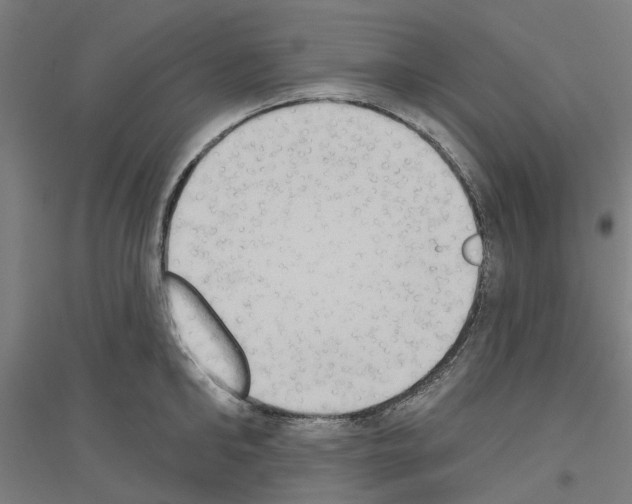 X0000116830902201001291640