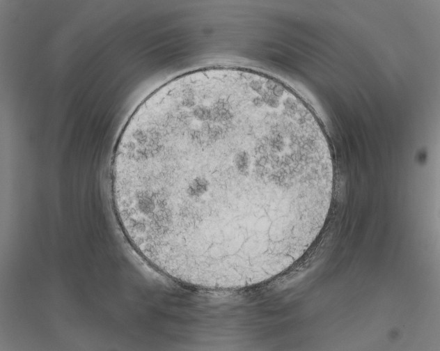 X0000116830903201001291640