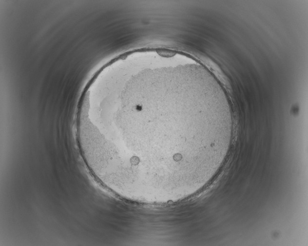 X0000116830904201001291640