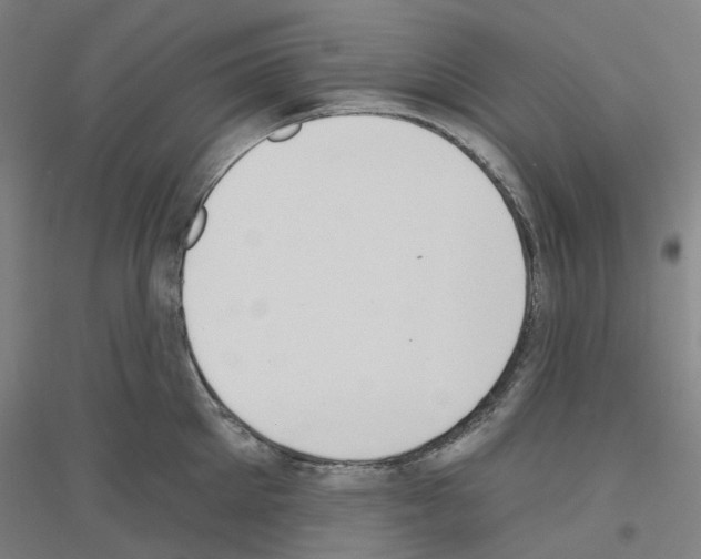 X0000116830905201001291640