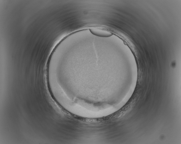 X0000116830907201001291640