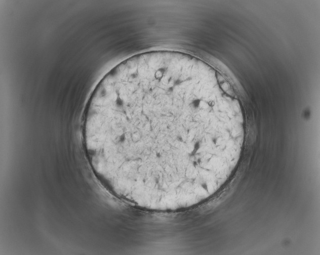 X0000116830908201001291640