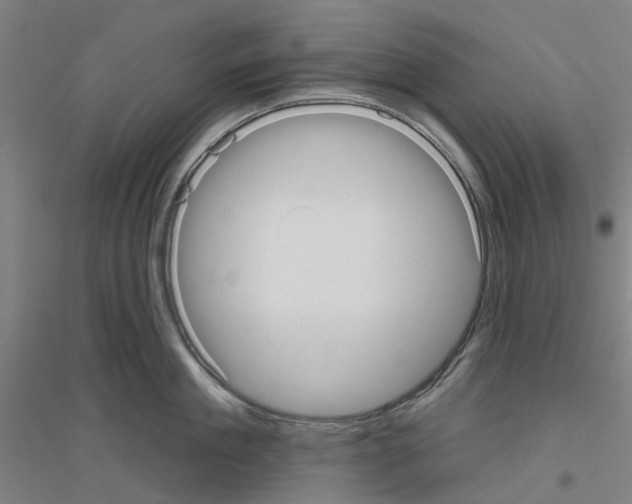 X0000116830909201001291640