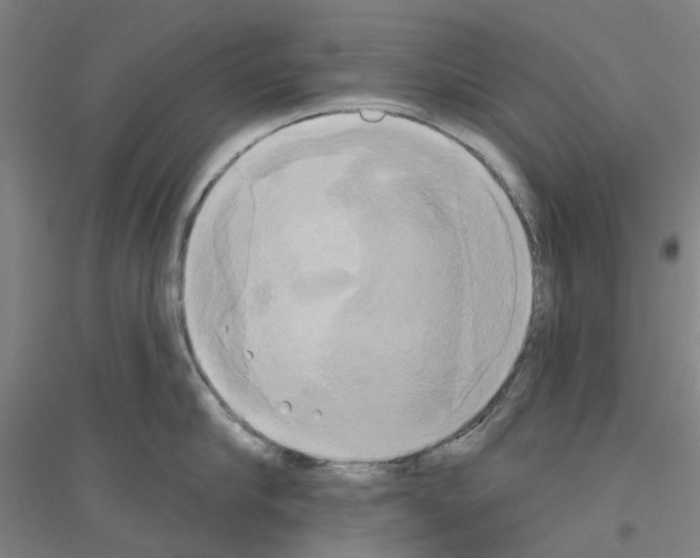 X0000116830910201001291640