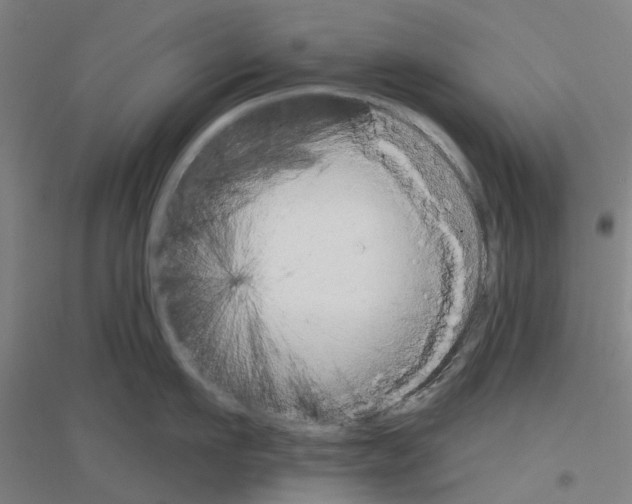 X0000116830911201001291640