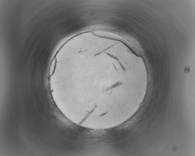 X0000116830912201001291640