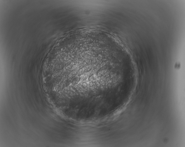 X0000116830913201001291640