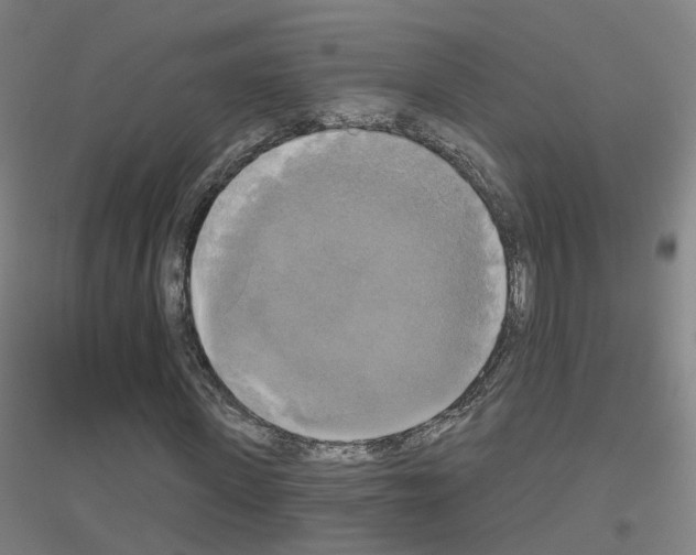 X0000116830915201001291640