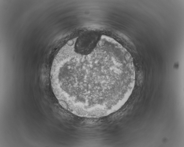 X0000116830917201001291640