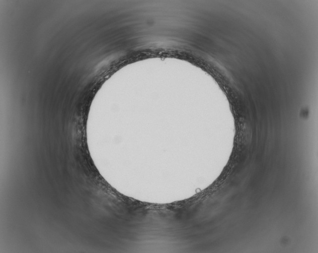 X0000116830918201001291640