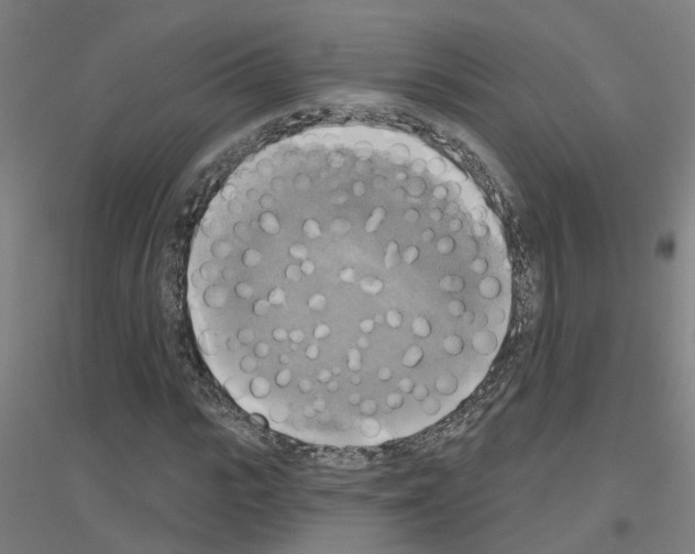 X0000116830919201001291640