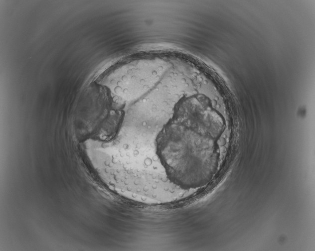 X0000116830921201001291640