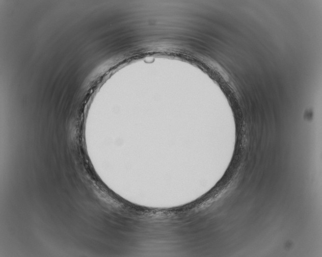 X0000116830922201001291640