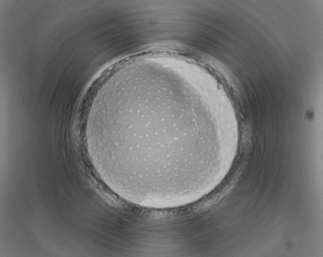 X0000116830923201001291640